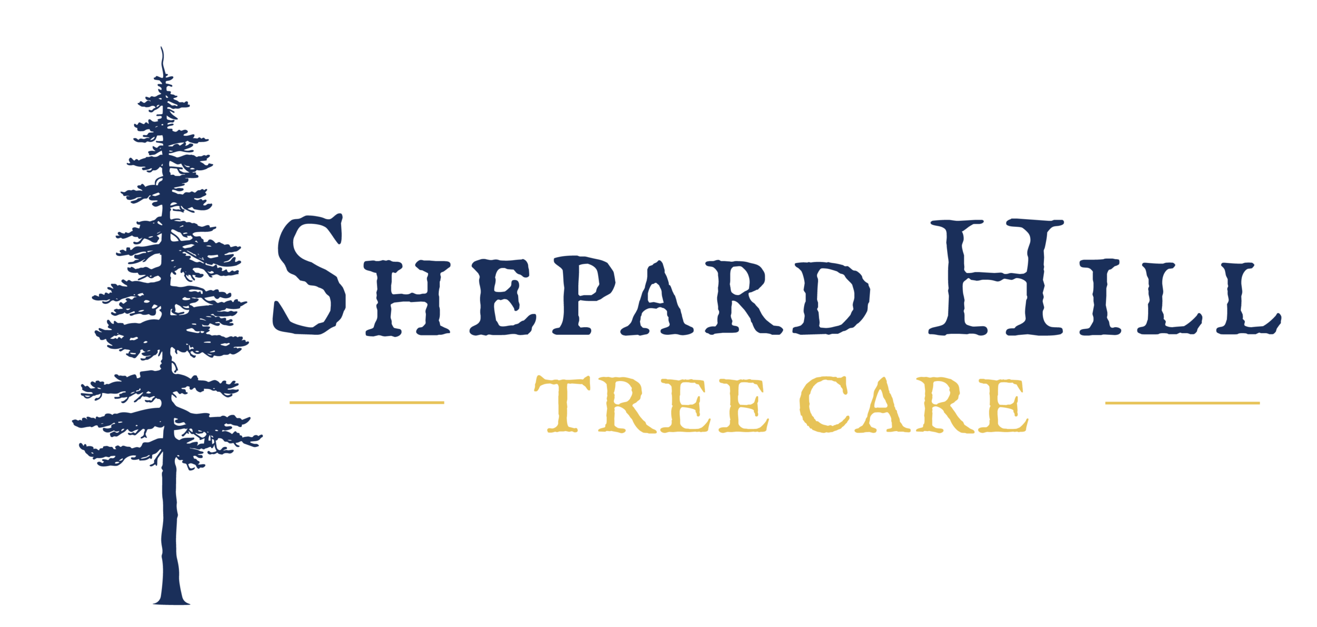 Shepard Hill Tree