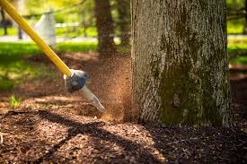 Integrated pest management